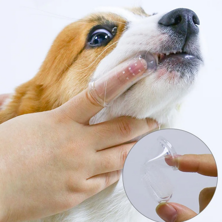 Escova Dental de Silicone para Cães e Gatos