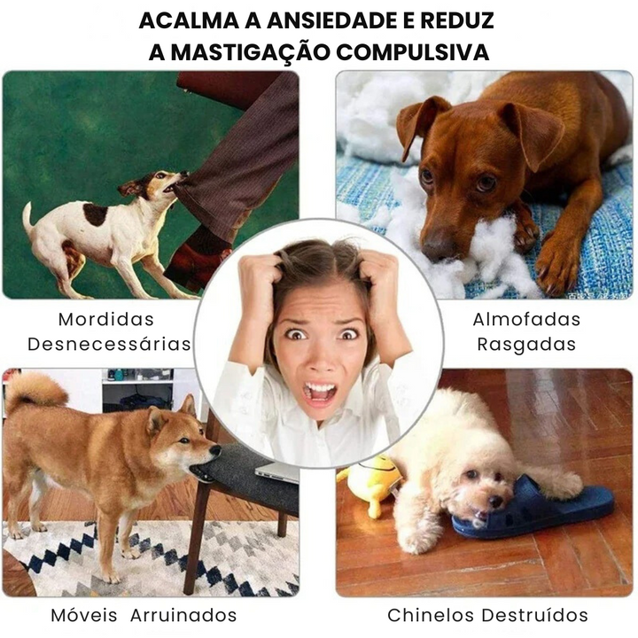 Bola Interativa para Cães